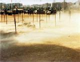 COE-21 1980-1983 005